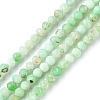 Natural Chrysoprase Beads Strands G-F748-X01-02B-1