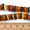 Natural Amber Beads Strands G-K387-C01-02-5