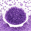 3/0 Baking Paint Glass Fringe Seed Beads SEED-A034-04F-1