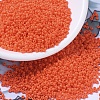 MIYUKI Round Rocailles Beads X-SEED-G007-RR0406-1