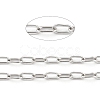 Non-Tarnish 3.28 Feet 304 Stainless Steel Paperclip Chains X-STAS-H111-04P-A-2