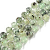 Natural Prehnite Beads Strands G-N327-08H-1