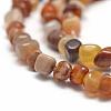 Natural Petrified Wood Beads Strands G-F465-20A-3