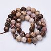 Natural Zebra Jasper Beads Strands G-S281-06-8mm-2