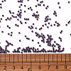 11/0 FGB Grade A Dyed Glass Seed Beads X-SEED-N001-C-0565-3