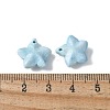 Natural Rainbow Alashan Agate Charms G-G194-02F-3