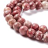 Natural Maifanite/Maifan Stone Beads Strands G-P451-01B-A-4