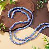 2Strands Handmade Lampwork Beads Strands BLOW-TADJ0001-01D-5