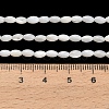 Natural Freshwater Shell Beads Strands SHEL-C010-03B-4