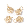 Rack Plating Alloy Charms FIND-G036-02LG-3