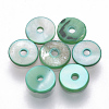 Natural Freshwater Shell Beads SHEL-Q008-97-2