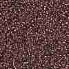 TOHO 11/0 Round Beads X-SEED-TR11-0746-2