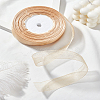 1 Roll Polyester Organza Ribbon OCOR-LP0001-31D-1