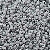 MIYUKI Delica Beads SEED-MY11-DB1139-3