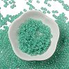 Glass Seed Beads SEED-H002-E-A1417-2