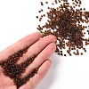 8/0 Glass Seed Beads SEED-A008-3mm-M13-4