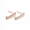 Ion Plating(IP) 304 Stainless Steel Stud Earring Findings STAS-H467-05RG-1