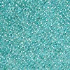 11/0 FGB Grade A Transparent Glass Seed Beads X-SEED-N001-E-318-2