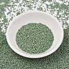 MIYUKI Delica Beads SEED-X0054-DB2310-2