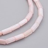 Natural Shell Bead Strands BSHE-P016-02-3