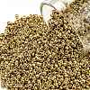 TOHO Round Seed Beads X-SEED-TR15-0557-1