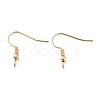 316 Surgical Stainless Steel French Earring Hooks X-STAS-H216-22G-1