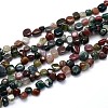 Natural Indian Agate Beads Strands G-O050-04-1