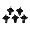 Natural Obsidian Pendants G-R480-02H-1