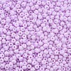 6/0 Glass Seed Beads SEED-T005-14-B06-3