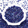 Electroplate Glass Seed Beads GLAA-SZC0007-01B-1