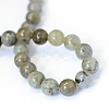 Natural Labradorite Round Bead Strands X-G-E334-6mm-19-3