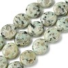 Natural Sesame Jasper Beads Strands G-K365-B16-03-1