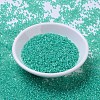 MIYUKI Round Rocailles Beads SEED-G007-RR0572-2