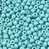 6/0 Glass Seed Beads SEED-S058-A-F437-3