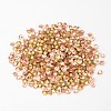 Back Plated Grade A Diamond Glass Pointed Rhinestone RGLA-SS6-023-2