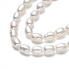 Natural Cultured Freshwater Pearl Beads Strands PEAR-N012-04D-4