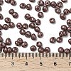 6/0 Glass Seed Beads SEED-L011-08A-08-4