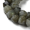 Natural Labradorite Star Cut Round Beads Strands G-M418-C10-01-4