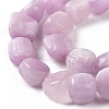 Natural Kunzite Beads Strands G-A208-01A-4