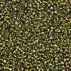 TOHO Round Seed Beads X-SEED-TR15-0996-2