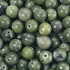 120pcs Natural Chinese Jade/Southern Jade Beads G-PA0001-08B-1