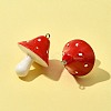 10Pcs Opaque Resin Pendants RESI-FS0001-63-2