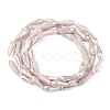 Electroplated Opaque Glass Beads Strands X-EGLA-L015-FR-B16-01-3