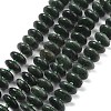 Natural Seraphinite Beads Strands G-A262-B02-01-2