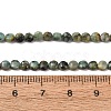 Natural African Turquoise(Jasper) Beads Strands GG-CBA9631-D12-01-5