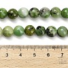 Natural Serpentine Beads Strands G-Z110-C04-8mm-5