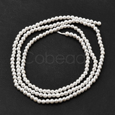 Electroplated Shell Pearl Beads Strands BSHE-K017-2mm-1