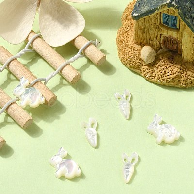 6Pcs 2 Styles Natural White Shell Beads BSHE-CJ0001-05-1