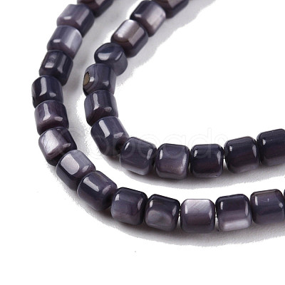 Natural Freshwater Shell Beads Strands SHEL-N003-33-A01-1