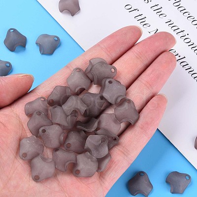 Transparent Acrylic Beads MACR-S373-106-D02-1